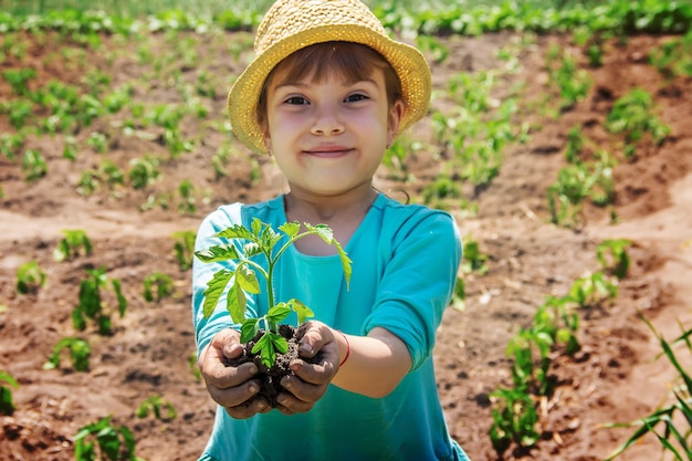 Un niño planta una planta en el jardín Enfoque selectivo