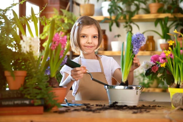 Niño plantando flores de primavera. Jardinero niña plantas jacinto. Muchacha que sostiene el jacinto en maceta. Niño cuidando plantas. Herramientas de jardinería. Copie el espacio.