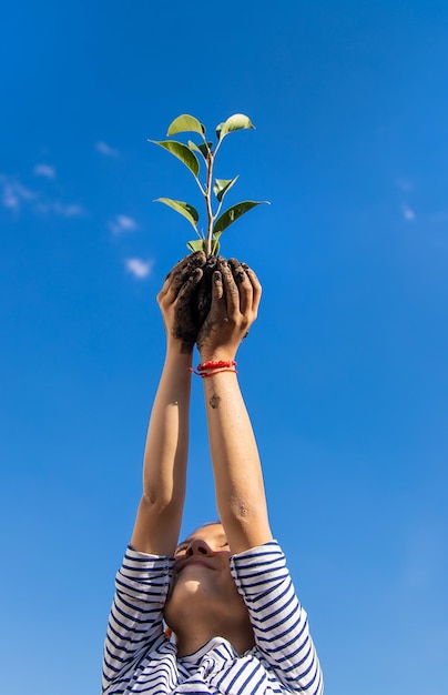 Foto el niño está plantando una planta en el jardín enfoque selectivo