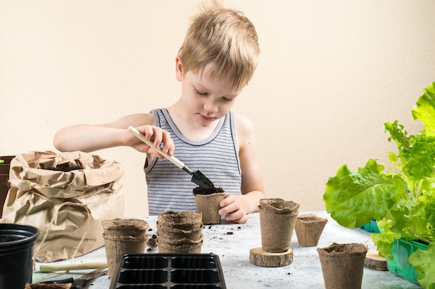 Niño plantando semillas en macetas de turba