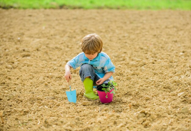 Niño plantar flores en el campo. Tiempo de diversión en la granja. Concepto de infancia feliz. Pequeño ayudante en el jardín. Niño divirtiéndose con pala pequeña y planta en maceta. Plantación en campo. Plantar plántulas.