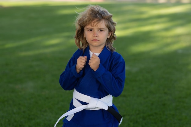 Niño practicando karate deporte al aire libre niños de karate niño pequeño con kimono haciendo karate en el parque