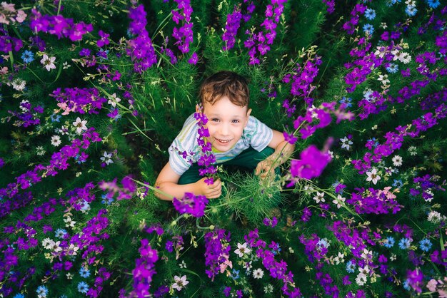 niño en el prado en colores altos