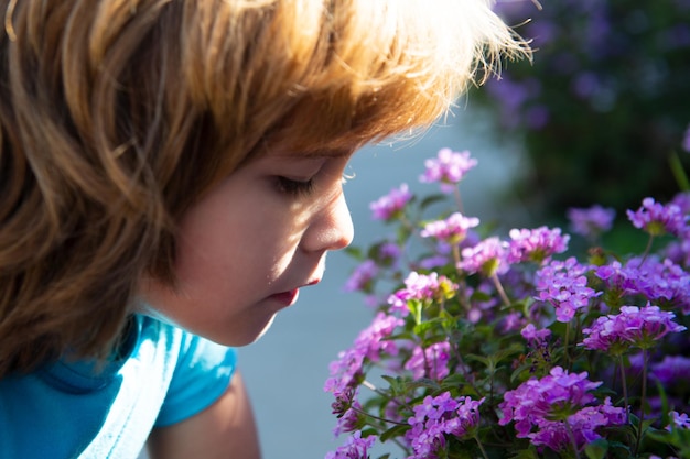 Niño de primavera o verano huele la rama floreciente. Muchacho lindo del niño en el jardín de la flor de la flor.
