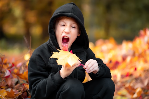 Un niño que está en un hermoso parque otoñal tiene hojas en la mano y quiere arrancarlas de un mordisco.