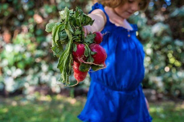 Niño con rábanos rojos en el jardín