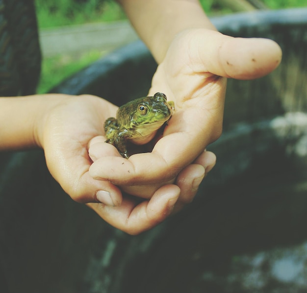 Foto niño con una rana en las manos