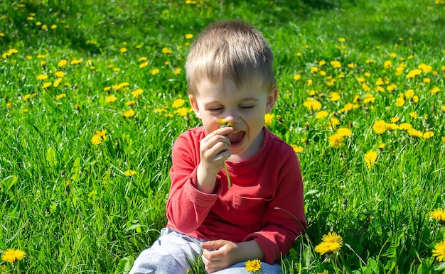 Niño recoge y huele flores alergia primaveral