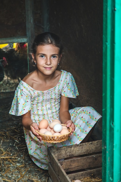 El niño recoge los huevos en el gallinero. Enfoque selectivo. Niño.