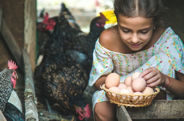 El niño recoge los huevos en el gallinero. Enfoque selectivo. Niño.