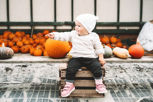 Niño recogiendo calabazas en el huerto de calabazas Niña pequeña jugando entre calabazas en el mercado agrícola