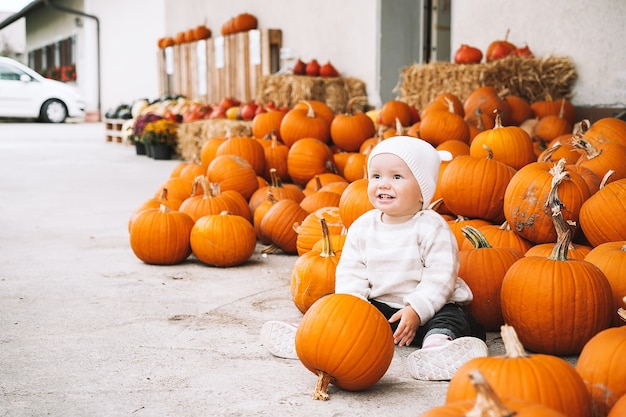 Niño recogiendo calabazas en el huerto de calabazas Niña pequeña jugando entre calabazas en el mercado agrícola