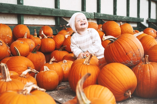 Niño recogiendo calabazas en el huerto de calabazas Niña pequeña jugando entre calabazas en el mercado agrícola