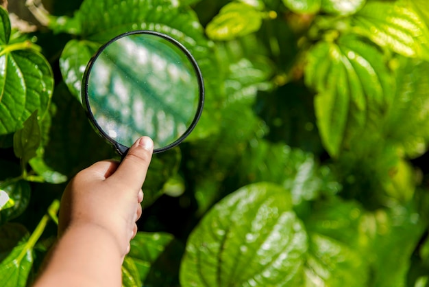 Niño recortado sosteniendo una lupa frente al espejo