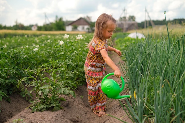 Niño con regadera de plástico está regando tallos de cebolla seca en el jardín de la cocina