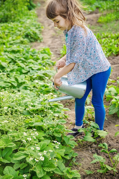 Niño regando las flores en el jardín.