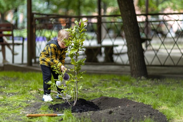 Un niño regando una magnolia que acaba de ser plantada en el patio de una casa