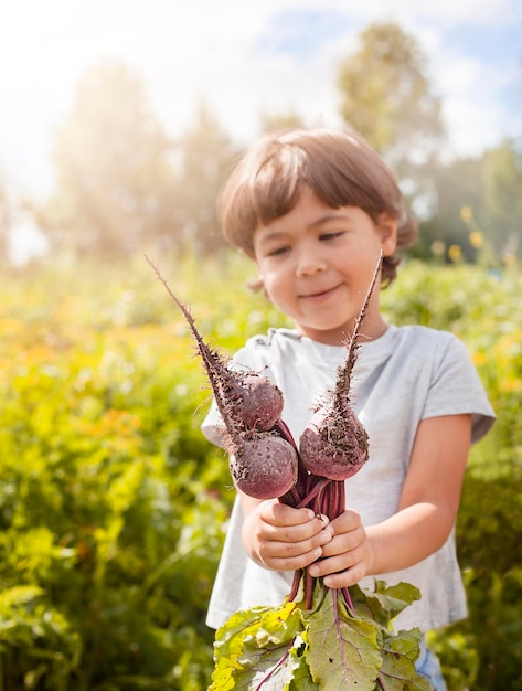 niño con remolachas en las manos en el jardín bajo el sol