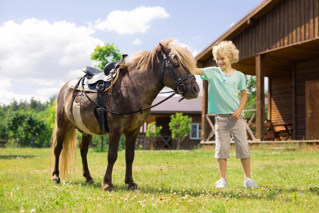 El niño rizado hermoso está tocando el caballo