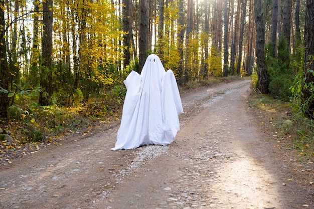 Un niño en sábanas con recortes para los ojos como un disfraz de fantasma en un bosque de otoño asusta y aterroriza Una pequeña y divertida fiesta de Halloween fantasma amable
