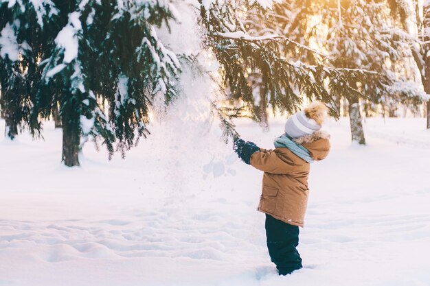 Un niño sacude una rama cubierta de nieve de un abeto de estilo de vida. Pintura de invierno. Paseos de invierno. Infancia feliz .