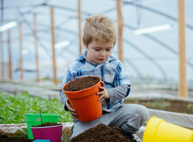 niño sano niño sano trabajando en invernadero niño plantando árboles en ecología saludable niño sano jardinero jugar con el suelo mejor pasatiempo