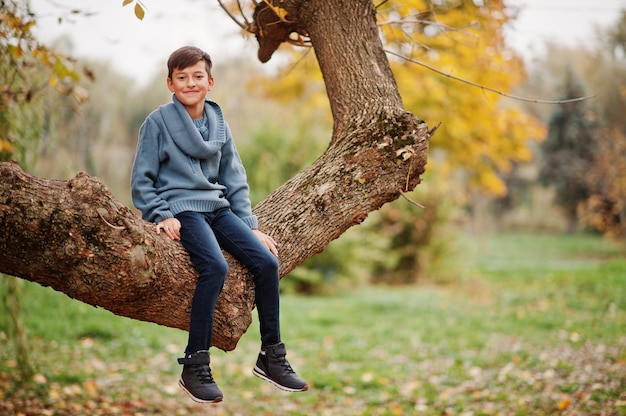 Niño sentado en un árbol en el parque de otoño.