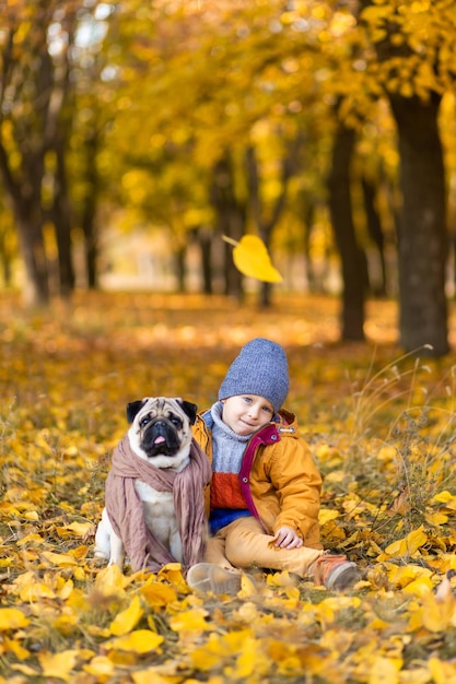 Un niño sentado en hojas amarillas caídas con un pug en el parque de otoño Amigos desde la infancia