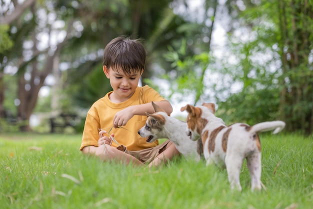 Niño sentado en el parque con perros