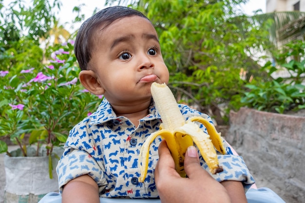 Un niño sentado en una silla de jardín está comiendo un plátano maduro de la mano de su madre Lindo bebé de 9 meses está loco por la comida Bebé comiendo comida Niño asiático comiendo plátano