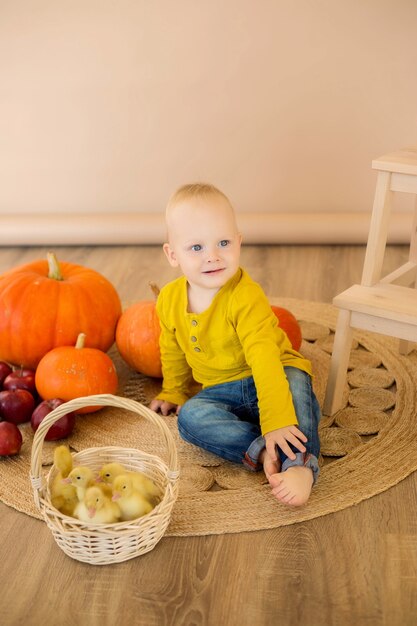 Un niño se sienta entre calabazas con una canasta de patitos.