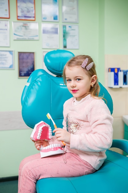 El niño se sienta en el consultorio del dentista y sostiene una mandíbula artificial en sus manos y se cepilla los dientes.