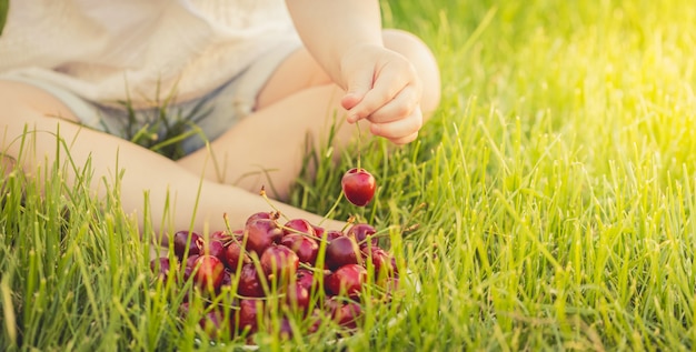 El niño se sienta en la hierba con las cerezas en una mañana soleada.