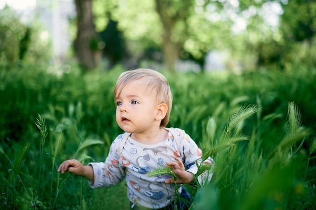 Niño se sienta en el retrato de hierba alta