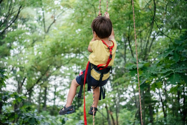 Foto niño en silla de escalada subiendo la cuerda en el dosel del árbol con equipo alpino y equipo de escalada, actividades de verano al aire libre para niños