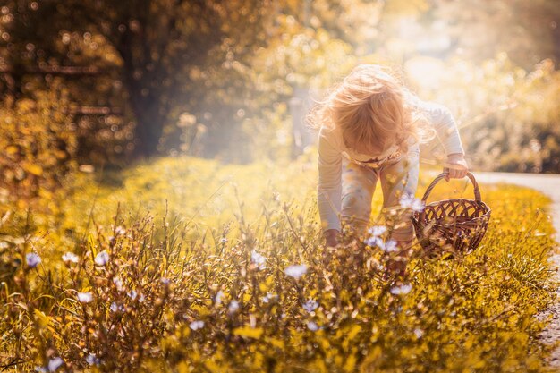 Un niño con un sombrero y una canasta busca hermosas flores en un campo bajo el sol brillante en el g.