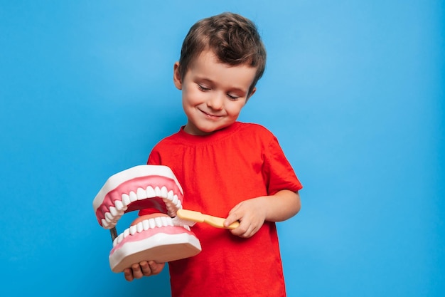 Un niño sonriente con dientes sanos sostiene una mandíbula grande y un cepillo de dientes en sus manos sobre un fondo azul aislado Higiene oral Odontología pediátrica Reglas para cepillarse los dientes