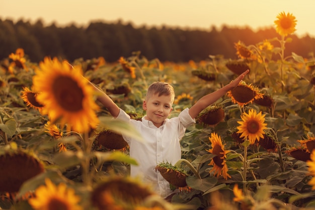 Niño sonriente del retrato con el girasol en campo del girasol del verano en puesta del sol.