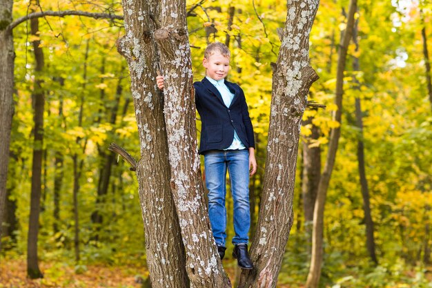 Niño sonriente subió a un árbol en el parque