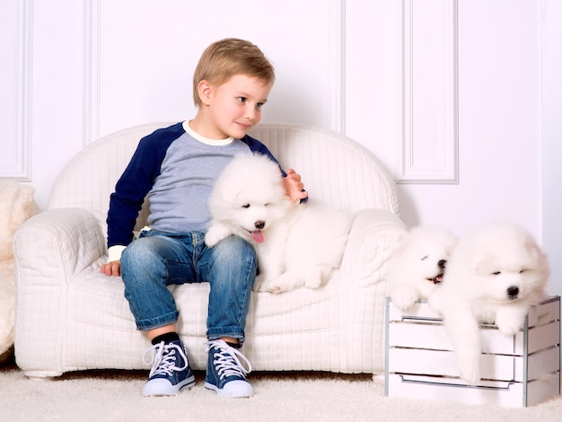 un niño sonriente de tres años jugando con un cachorro blanco de samoyedo en el estudio