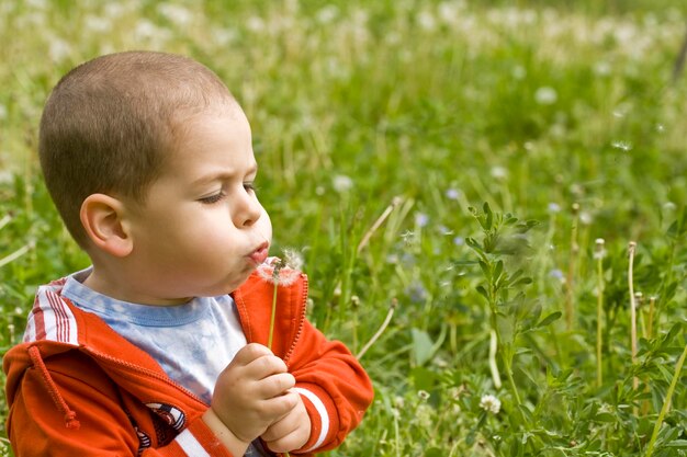 Niño soplando diente de León