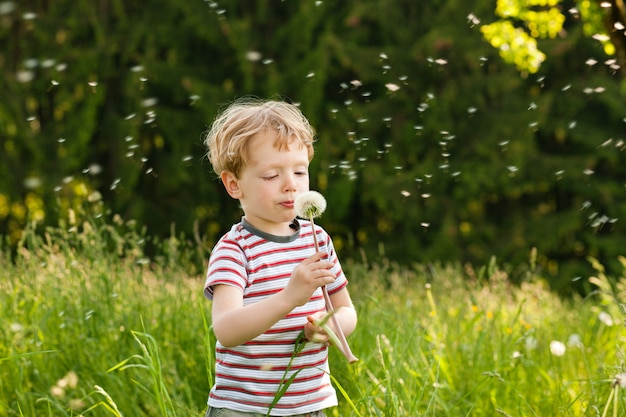 Niño soplando semillas de diente de león