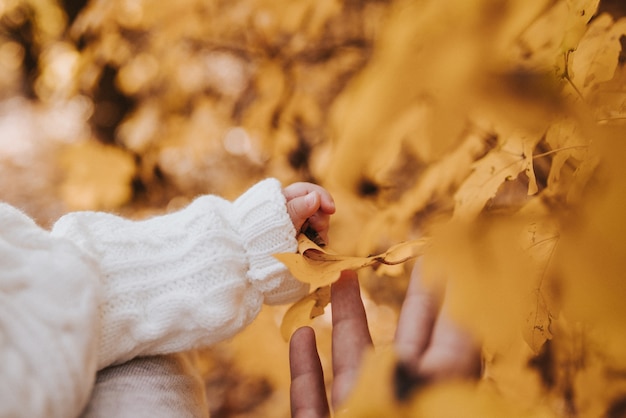 Foto niño sosteniendo la hoja de arce amarilla otoñal. otoño