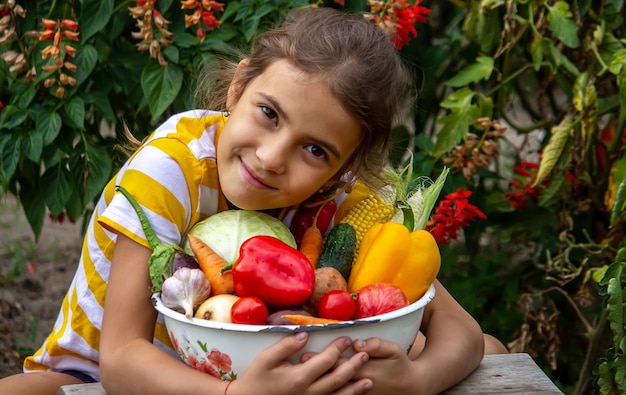 Un niño sostiene una cosecha de vegetales en sus manos Enfoque selectivo