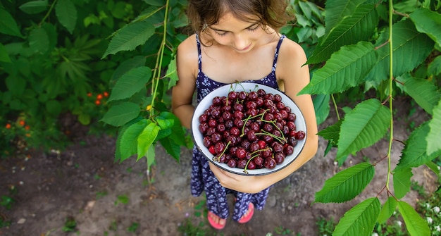 El niño sostiene un cuenco con cerezas en el fondo del jardín