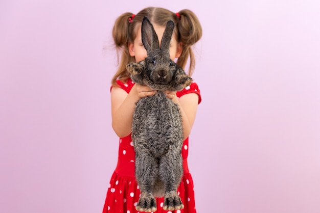 El niño sostiene un hermoso conejo esponjoso en sus manos.