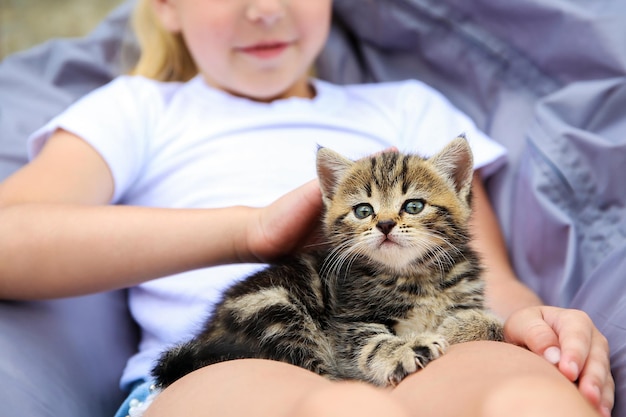 Un niño sostiene un pequeño gatito y lo acaricia.