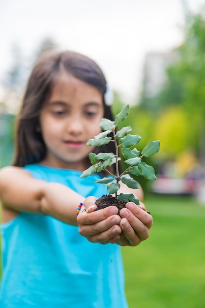 Foto el niño sostiene la planta y el suelo en sus manos enfoque selectivo