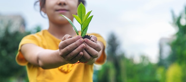 El niño sostiene la planta y el suelo en sus manos Enfoque selectivo