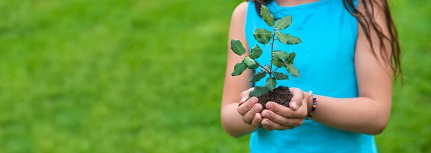 El niño sostiene la planta y el suelo en sus manos Enfoque selectivo